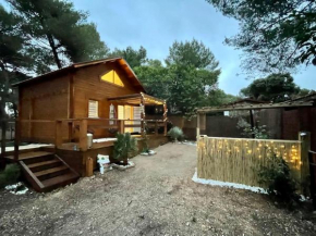 Superbe chalet neuf 4 à 6 pers